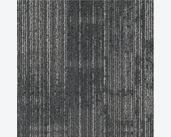 SAP-06