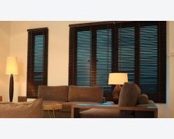 Venetian Blind