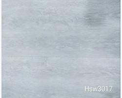 Hsw3017