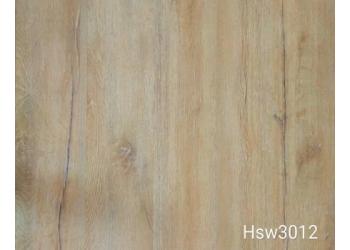 Hsw3012