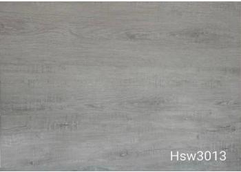 Hsw3013