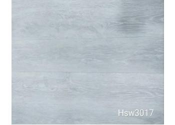 Hsw3017